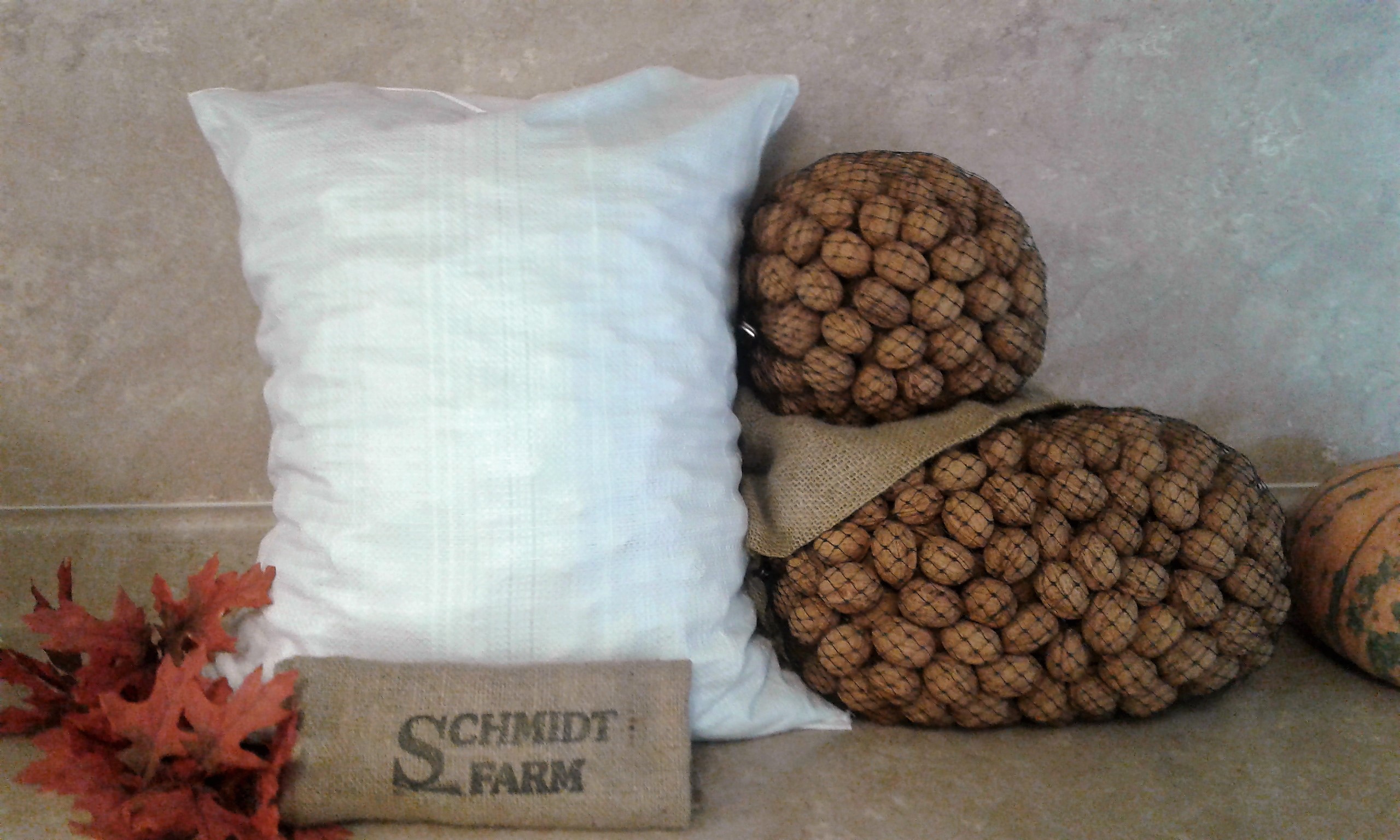 Fresh walnuts and hazelnuts, local farm stand in Mcminnville Oregon